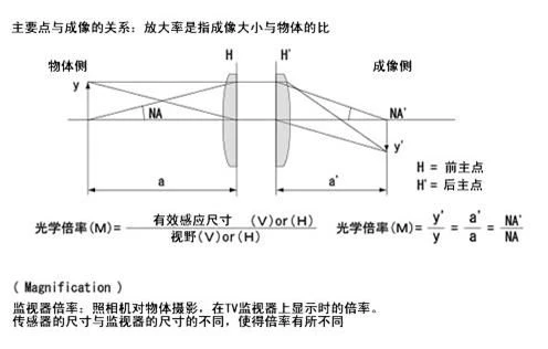 machine vision lighting